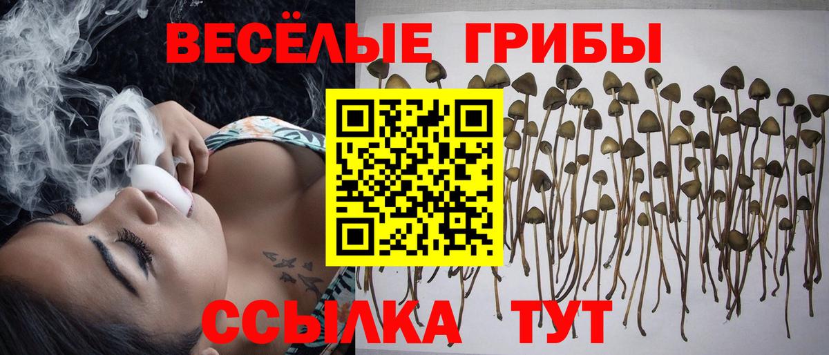 Клин  Псилоцибиновые грибы мицелий  Галлюциногенные грибы прущие грибы  Вход с VPN 