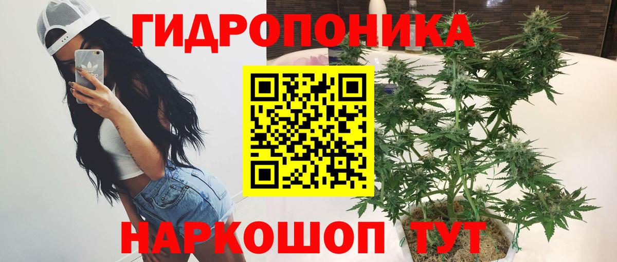 Клин  Конопля Amnesia  Бошки Шишки AK-47  МАРИХУАНА Bruce Banner  Марихуана ГИДРОПОН  Вход с VPN 